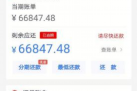 自称什么彪的讨债公司：揭秘讨债行业的灰色地带